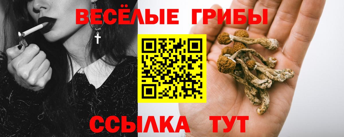 Галлюциногенные грибы прущие грибы  Вход с VPN  Лесной 